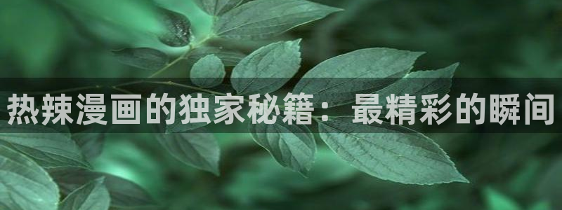 我来自游戏漫画免费看六漫画：热辣漫画的独家秘籍：最精彩的瞬间
